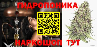 ALPHA PVP Дубна