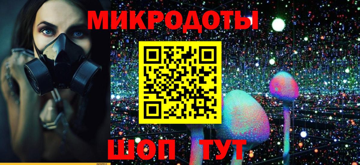 Галлюциногенные грибы Psilocybe  Вход с VPN  Мичуринск  Псилоцибиновые грибы мухоморы 